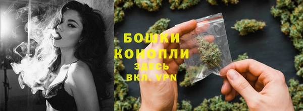 крисы Белокуриха